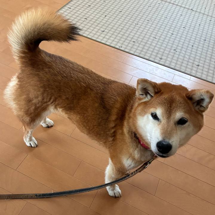 2ac0b75f 5e30 4130 92f1 28d10be87658 1743839582819