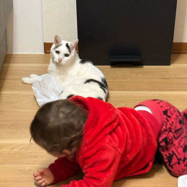 2ac0d771 d016 465c 9a48 c80842e3d049 1768995369817