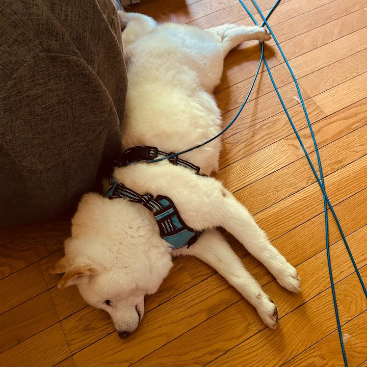 2ac104c1 7944 488c a803 9279e8ca825c 1747430814936