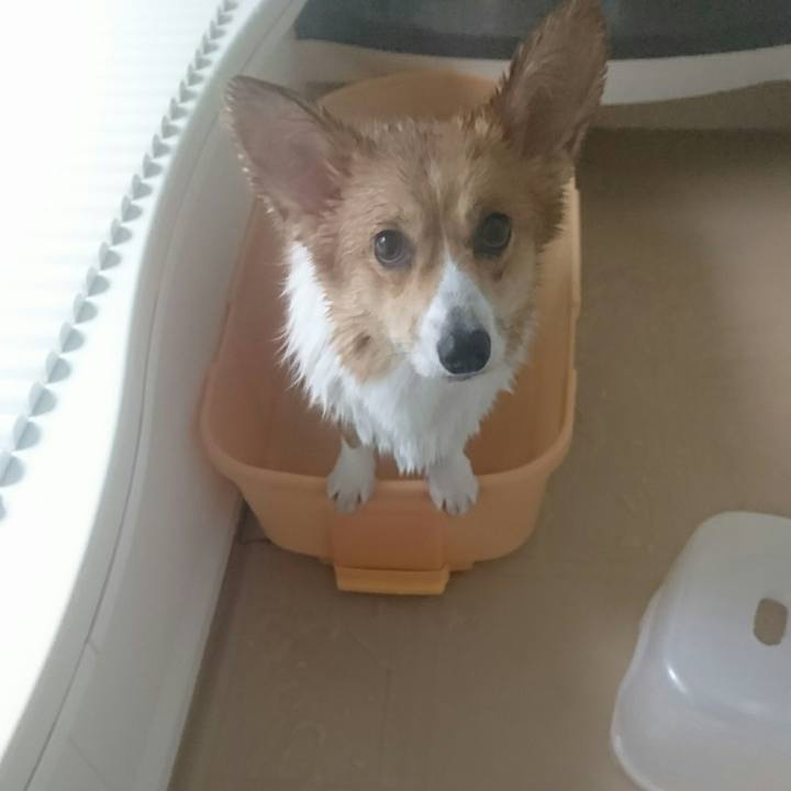 2ac13a0c f149 41aa b8eb 73cba4d742a0 1508071970706