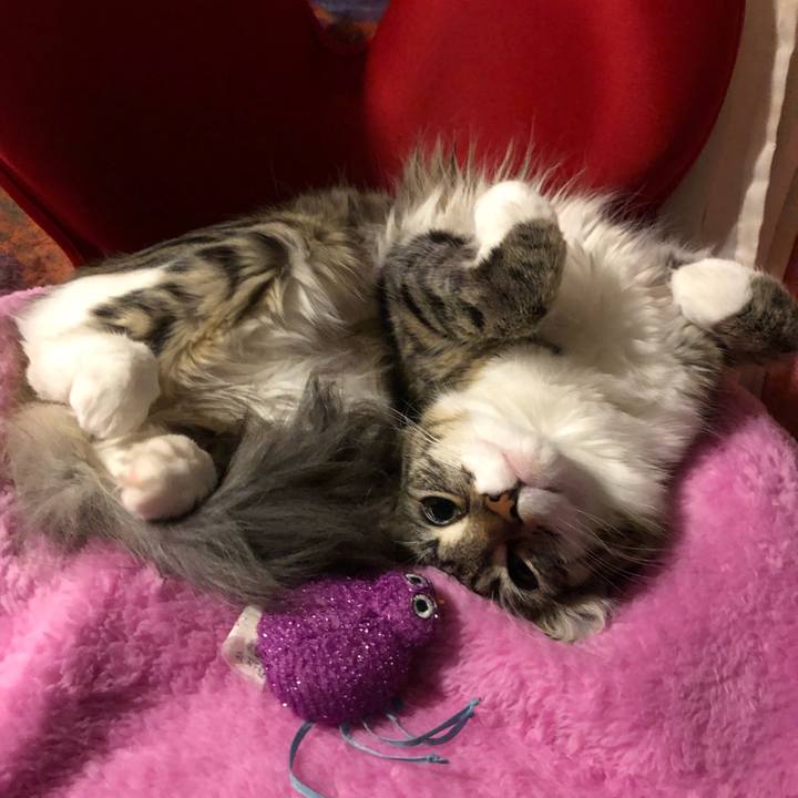 2ac148ff 606e 44c2 a1e9 04972642c5c6 1515298818775