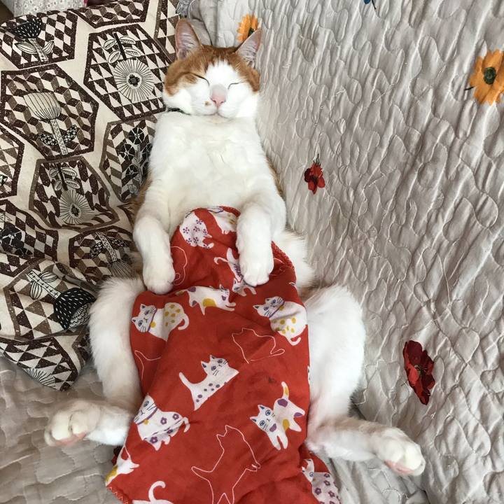 2ac169e7 180b 453f b259 29d05d7f0a55 1588405807309