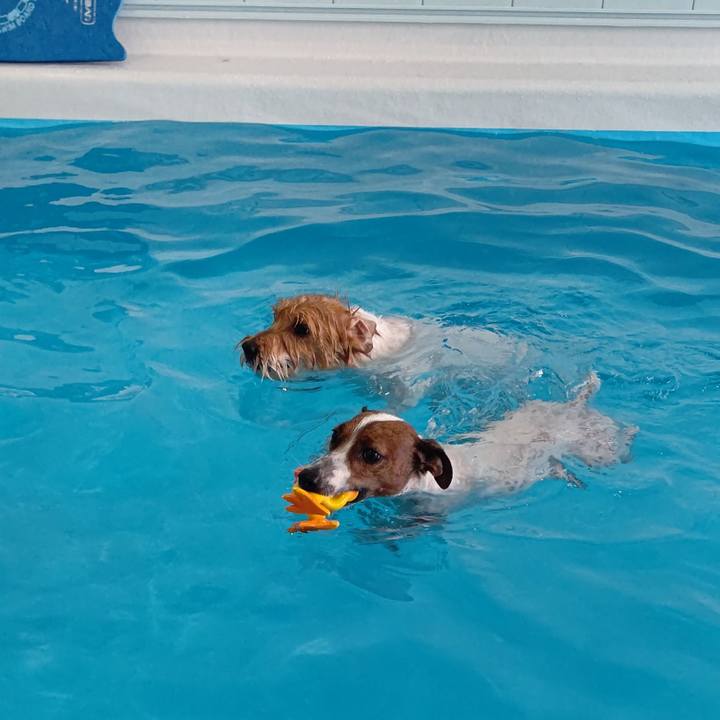 2ac18b1b 94e5 43a7 963d 1eb6078dd741 1632388844357