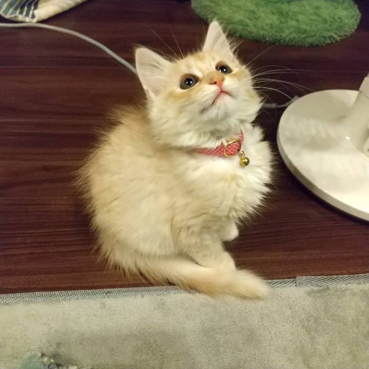 2ac19a91 528d 4f8d 9972 d605a410771f 1604610407152