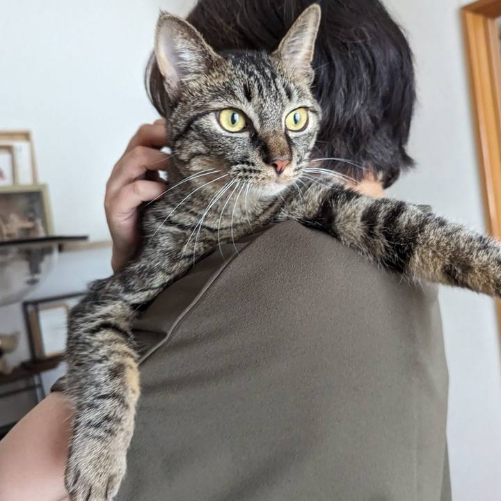 2ac1c0e6 83cc 449d 9883 25d8a47c9f01 1718965352352