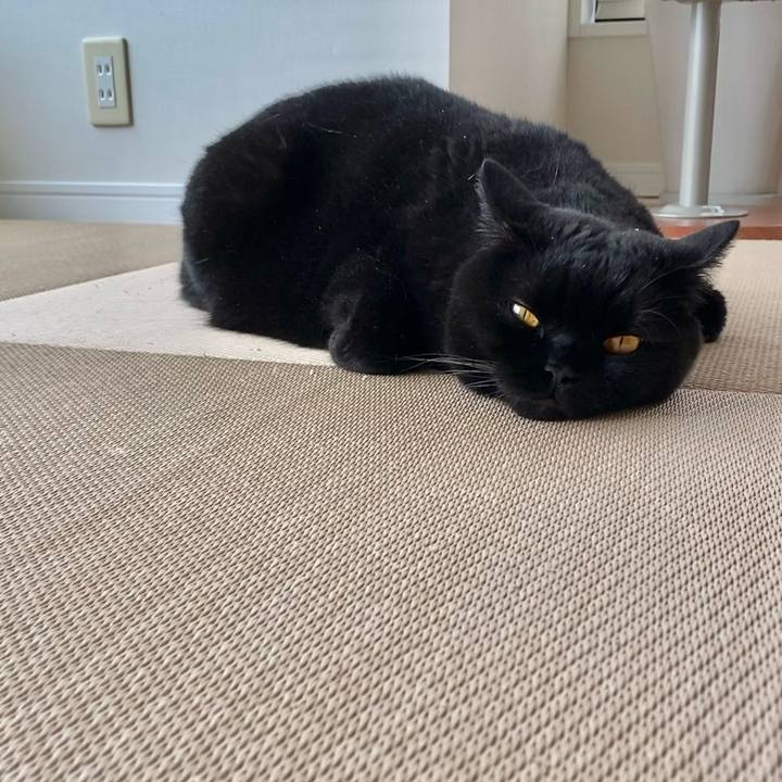 2ac1dfb1 ce78 4d25 bdff 8202f9304be2 1632816429494