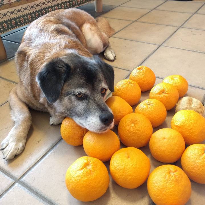 2ac1e20b f471 4abb b3cc 527c939f04bd 1519881339525