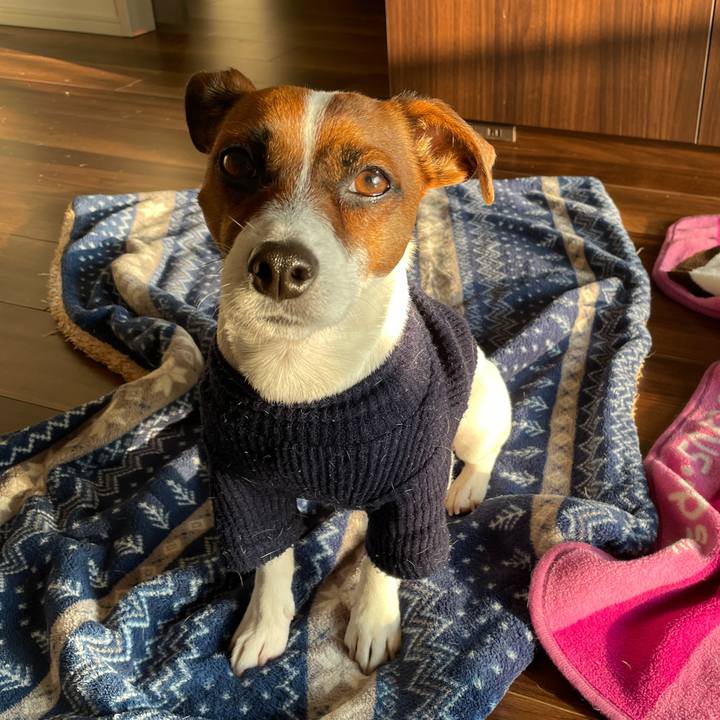 2ac30389 29a6 4b0d b999 29d3f989b7c6 1644878808141