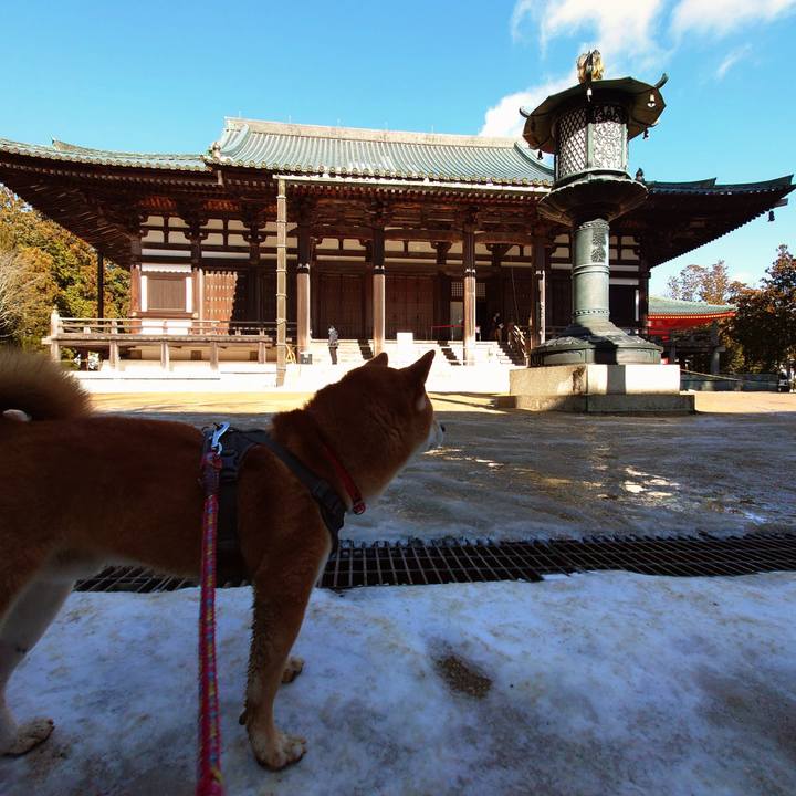 2ac36030 fa02 4e6c bb64 2c5ab71bd474 1767087234558