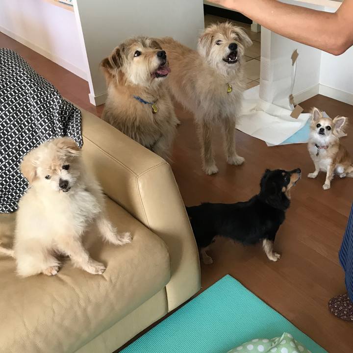 2ac37adb ab21 4e71 979f e7ac1f9292d0 1560729938088