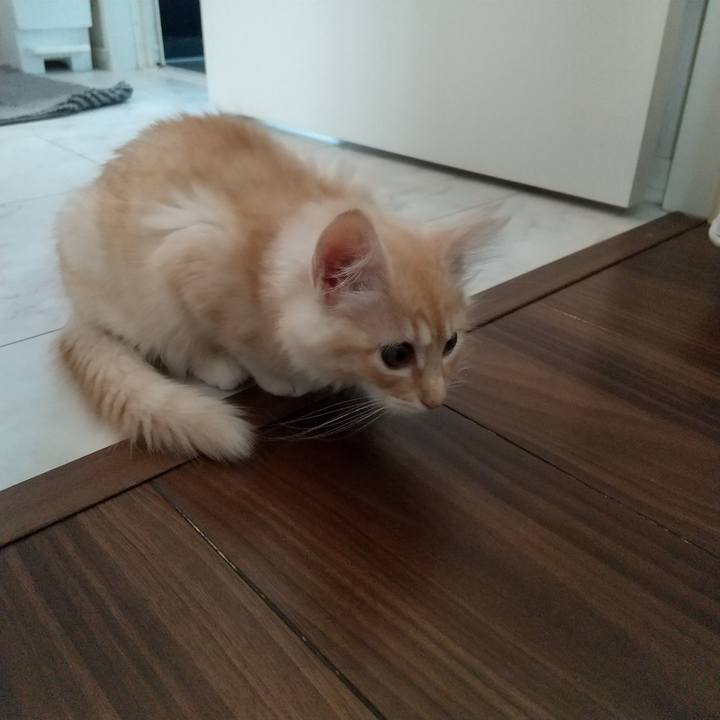 2ac38ff9 6d1e 4d4e 89b5 0749f55e08c2 1605947164780