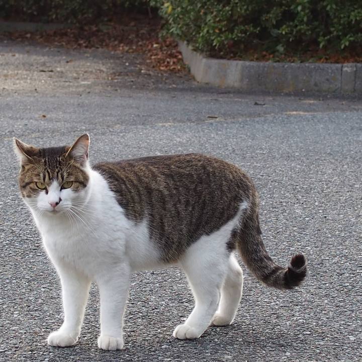 2ac3b87a 02e2 401b bc9a fa25650dddc7 1581753456450