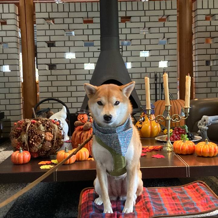 2ac42816 4a5e 4f96 987c 5686153df2d8 1667217155520