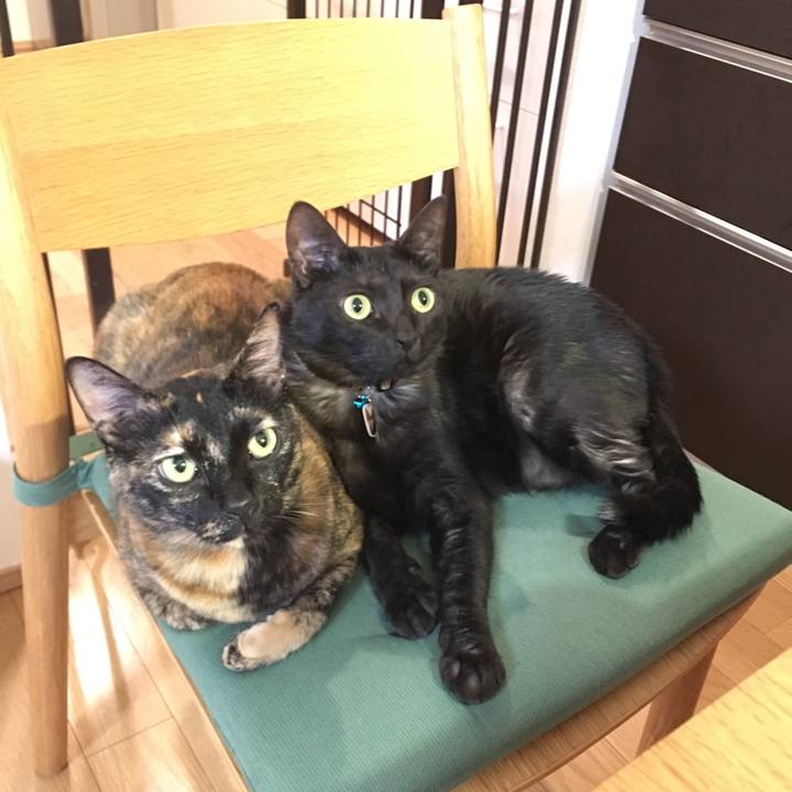 2ac43229 53fb 4cbb 8335 d8dbd8b9d100 1541508819693