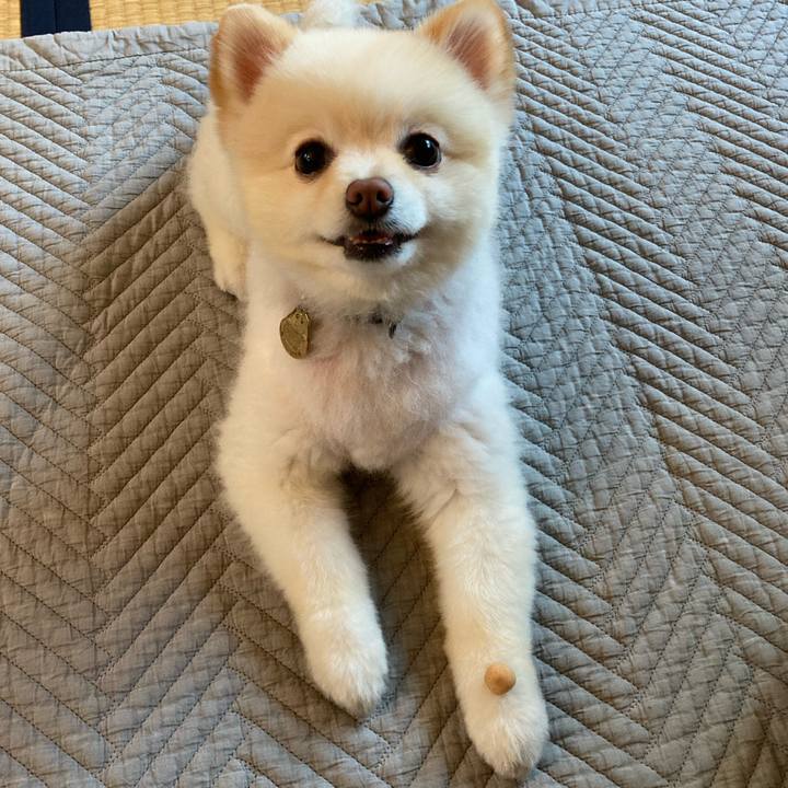 2ac48cef d234 4f69 93db 10654e858c85 1635935262422