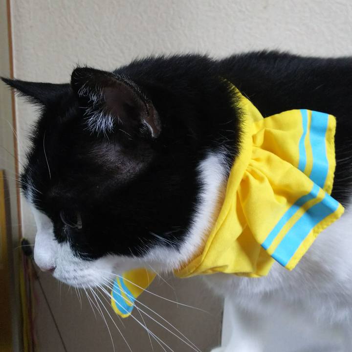 2ac4cd25 dd14 4beb af7b be820774a9d2 1528207917327