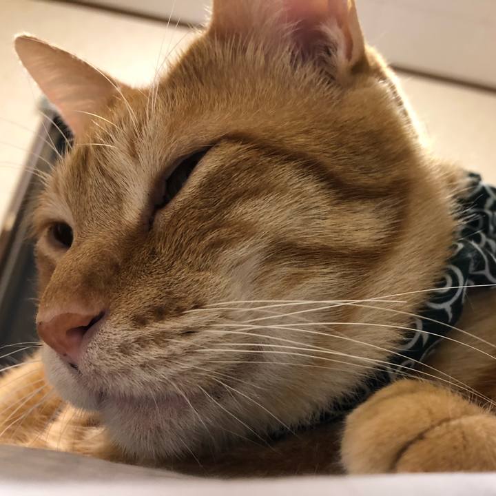 2ac4cdfe c0d1 4731 8a88 03ca19bf4f6f 1576964397748