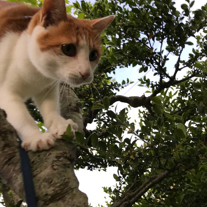 2ac4df43 2da5 4d3e 923e 85ce43e456a0 1529401508533