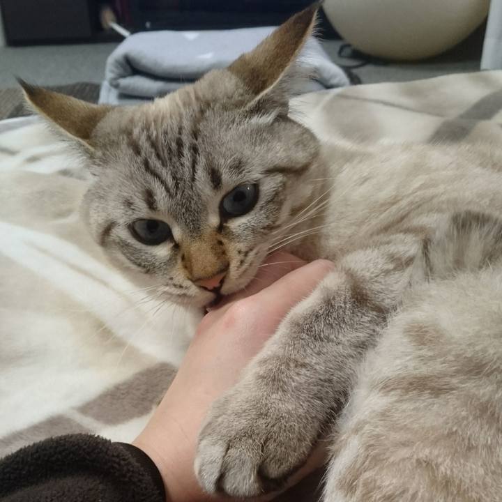 2ac51804 e115 4d59 aaf9 5c5210720907 1508507992800