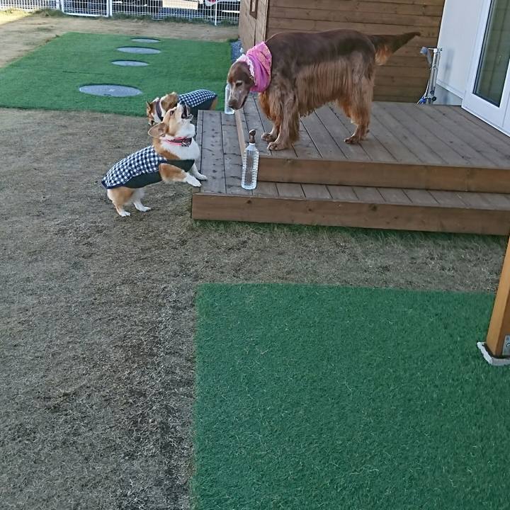 2ac5603a b81f 453e 8158 75389e8759f7 1544008649371