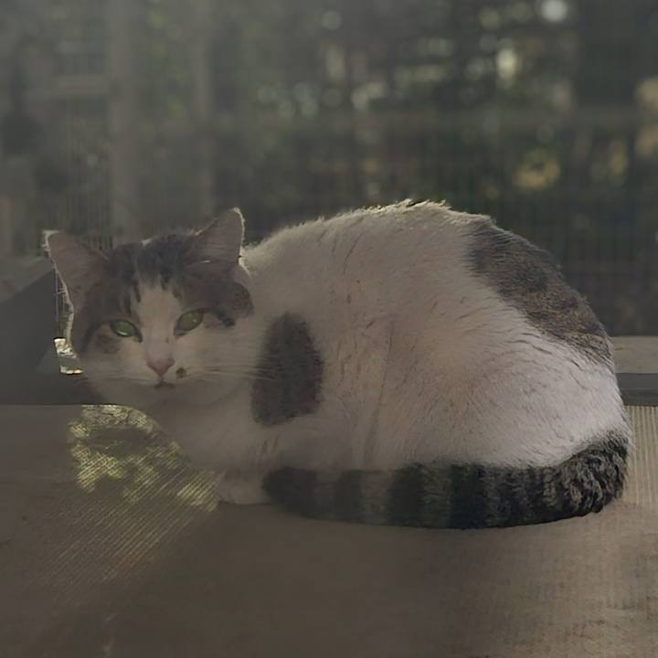 2ac56167 94bf 4917 a174 9b66fa62d1fd 1737021729632