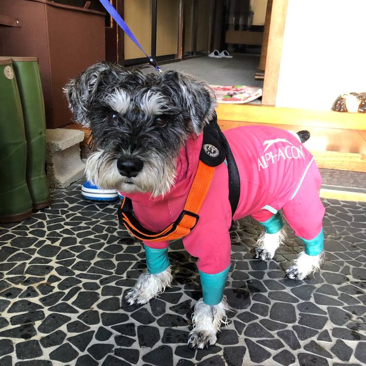 2ac570c0 2b2e 4900 86cc b4db1925e3c2 1702790809171