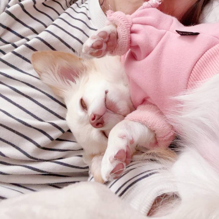 2ac58482 0e78 488a bc90 489e420a7d2b 1698285169764