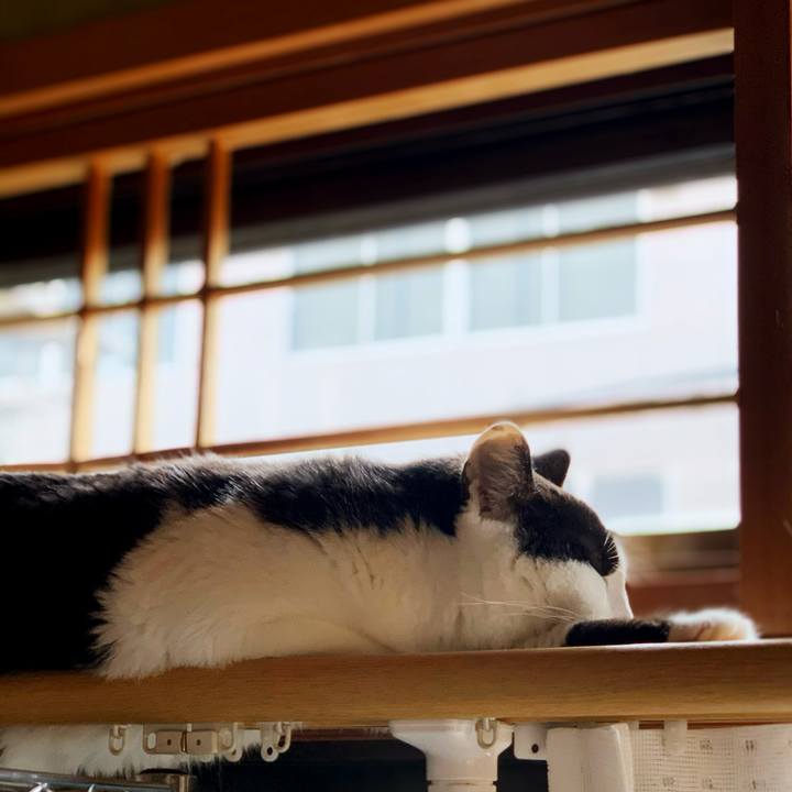 2ac5c1eb 95dc 48e3 9d97 7ed327f82943 1595381659945