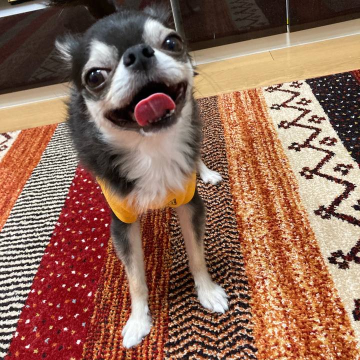 2ac5f8b2 48dd 442b a977 d466681e33a2 1670687875932