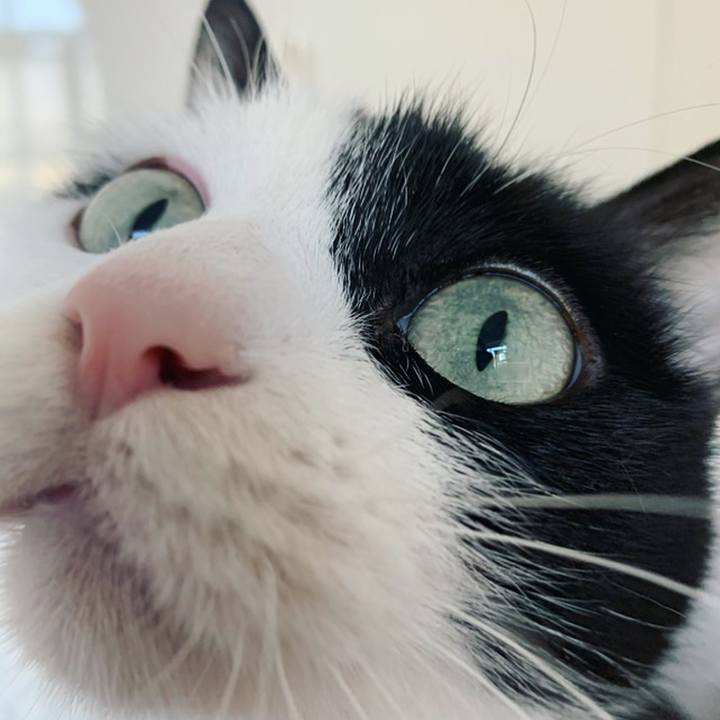 2ac61221 8229 4d3a 9216 df956c8e7c11 1586817916856