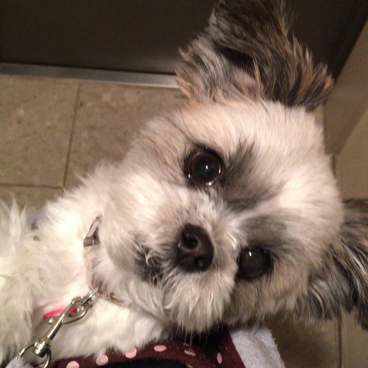 2ac61764 c46f 4f17 8382 151d6b6db756 1509359263612