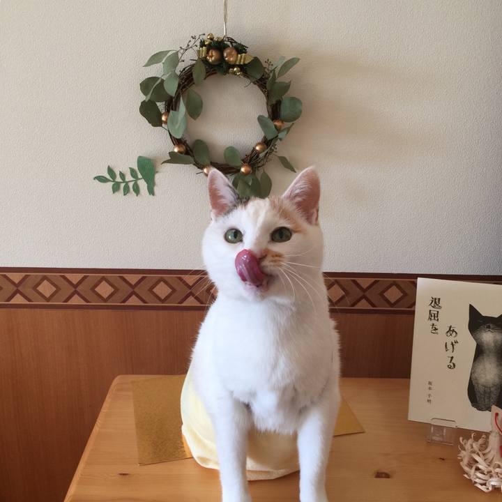 2ac61f12 1215 48ff 8685 f12a909cea63 1513228002144