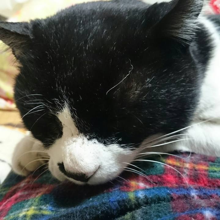 2ac68300 3ed8 4744 89c6 a546e00dd763 1516454752354