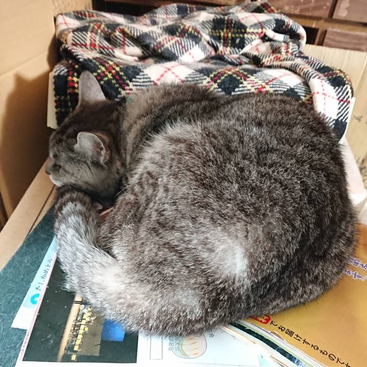 2ac6d0b8 cc6a 43c8 a1db 796a1f8bfb0c 1563064309934