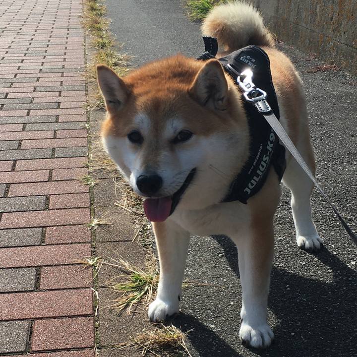 2ac6e836 d73a 4b7c b451 d8d0d4d6580b 1574055899129