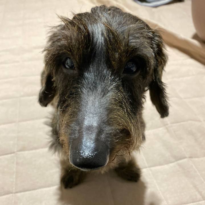 2ac6ede4 1f80 4841 bcfc d8c9364d7f33 1572367118064