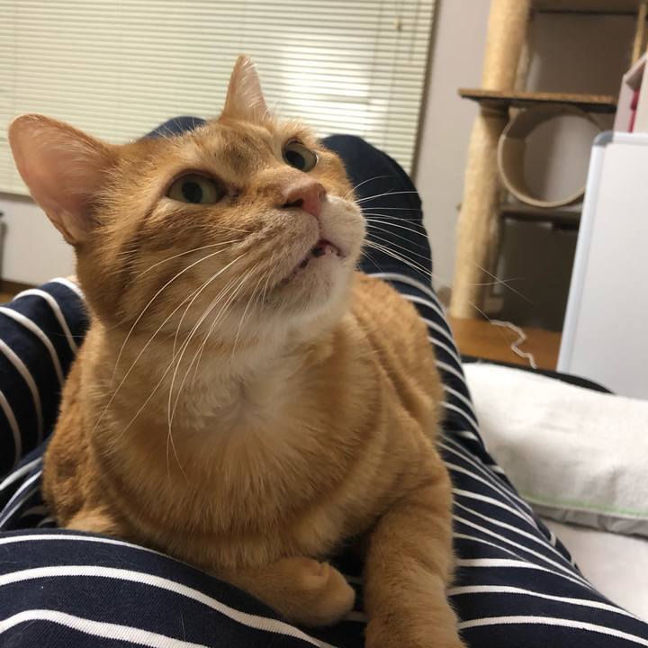 2ac709b3 2670 441f 9346 54b053f73199 1583069315362