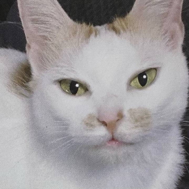 2ac75841 0117 4281 9650 0d03c73efca9 1728707795573