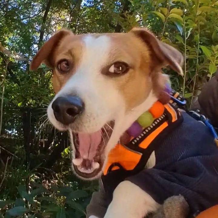 2ac77614 c8ba 4f69 bad3 1df877f2145f 1641206470121