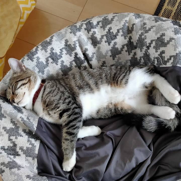 2ac78d53 661e 4e0c 95e7 87bd64f19830 1628907310420