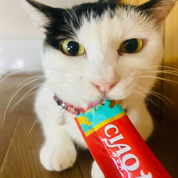 2ac7b2b3 9842 4207 8c62 f7b204d3f2c7 1660265156182