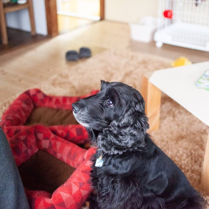 2ac7b650 5bec 4414 b309 a5d8b83fbb0d 1583288180478