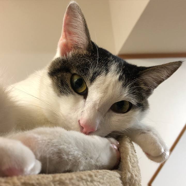 2ac7cdb0 6824 407e a17a 94e5623db3cf 1602077697136