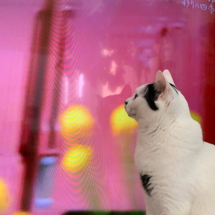 2ac7d4ab 88e4 4012 a302 b88b1af648fd 1609024316513