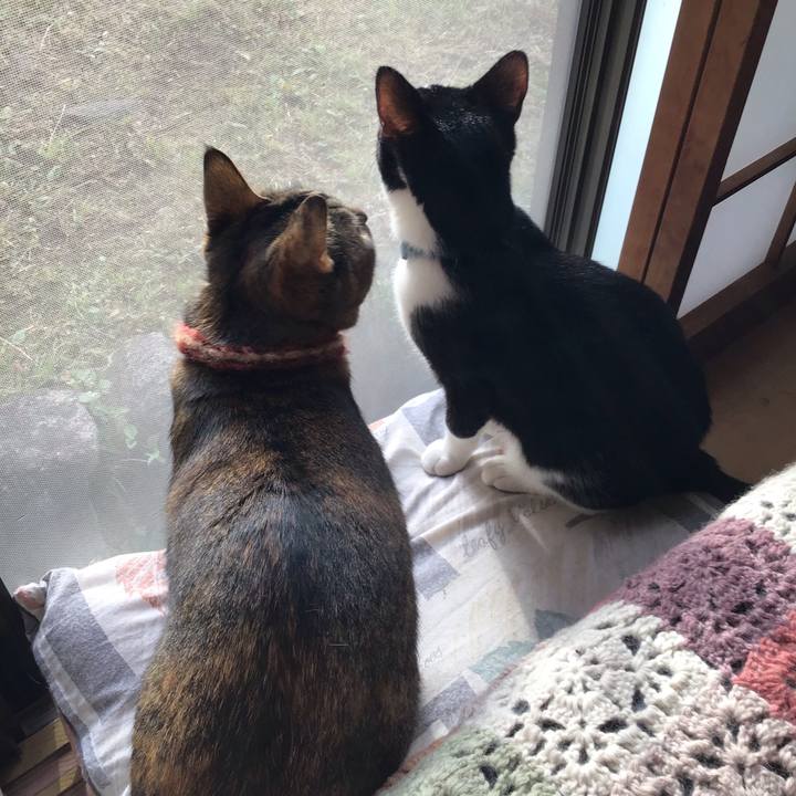 2ac7d654 9410 4905 b105 63e89cf0c505 1632990386634