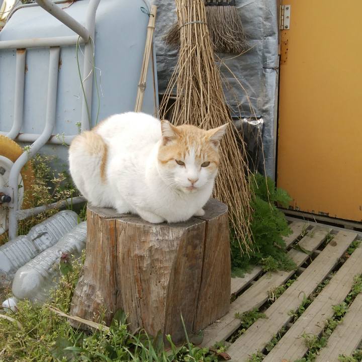 2ac7d887 30b0 4cff 96d5 89ffbf3c0432 1553856470599