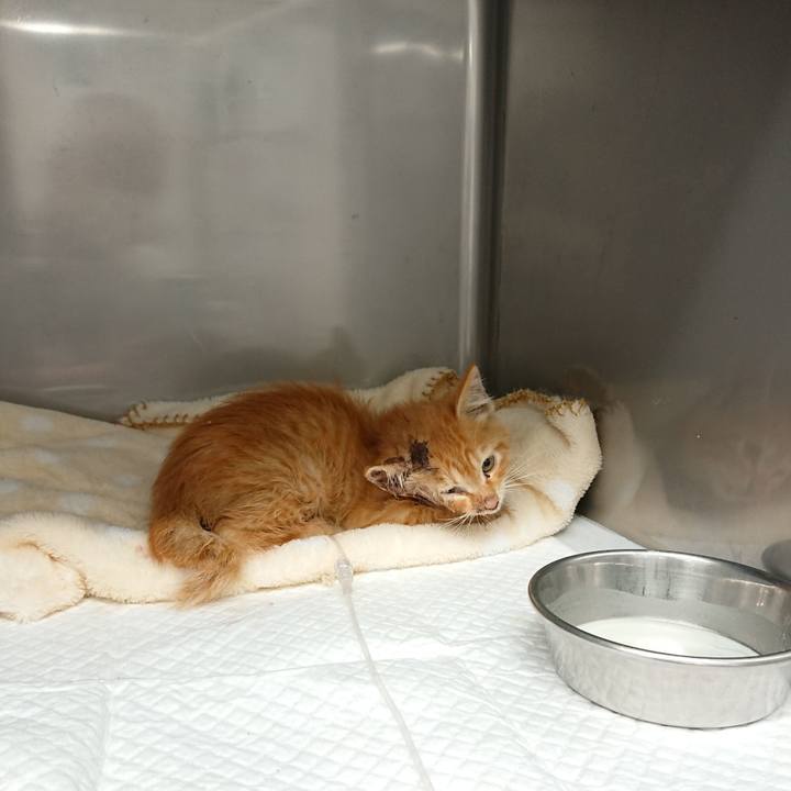 2ac7f929 20fc 4ff4 9a0b d25ad9cf0a14 1627291538211