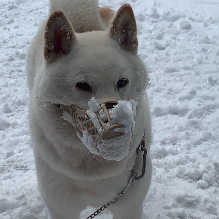 2ac874cf 492f 42c6 83aa 0baa50a4d0ad 1574997701127