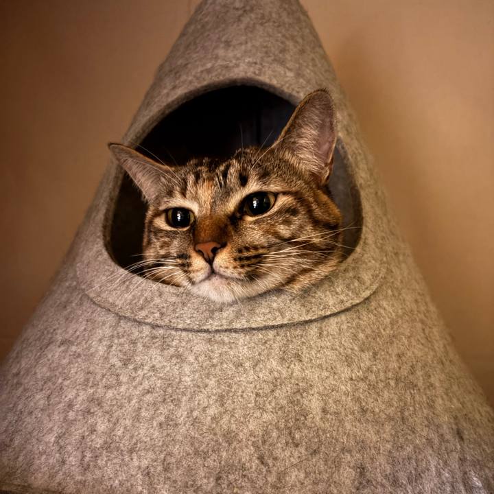 2ac8d200 10df 4d07 8995 b3356be6092b 1763672534546