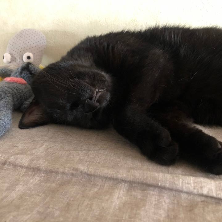 2ac8d260 61f9 4435 ab6b a1f48759b7c1 1566026845229